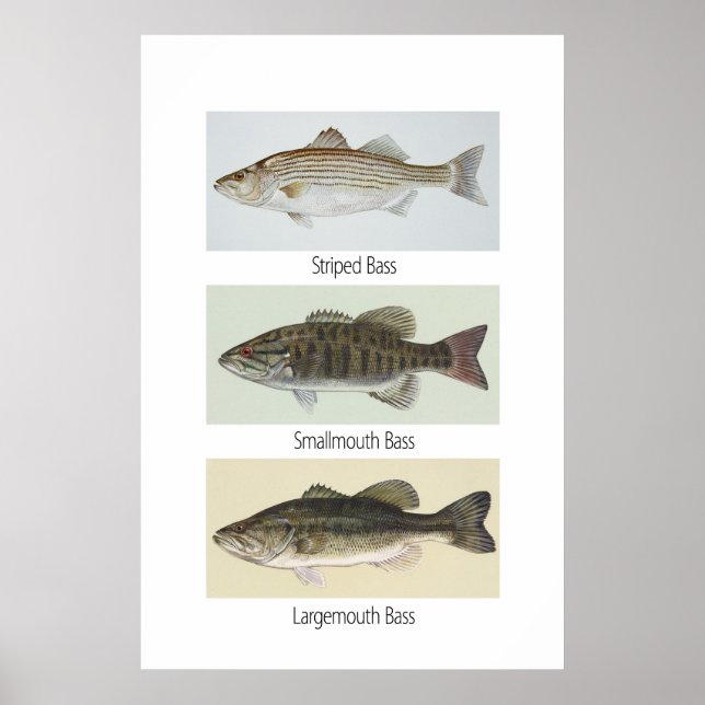 Tre Poster (Framsidan)