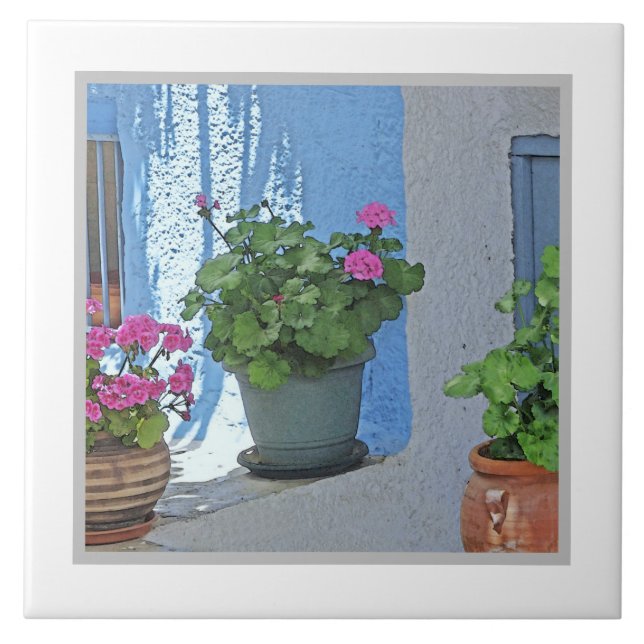 TRE POTTED ROSA GERANIUMS/BLUE WALL KAKELPLATTA (Framsidan)