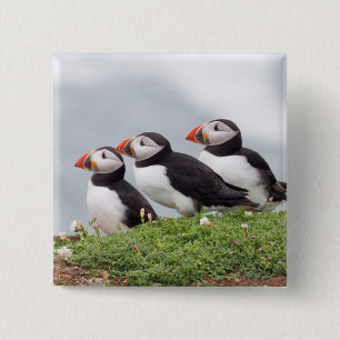 Tre Puffins Knapp