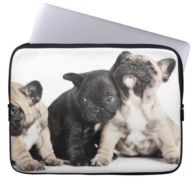 Tre pug-valpar laptop fodral (Framsidan)