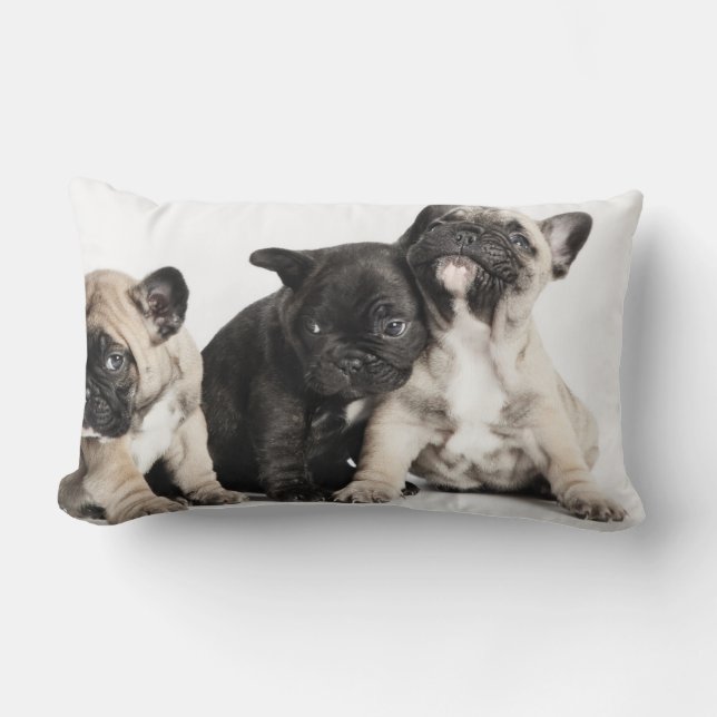 Tre Pug-valpar Lumbarkudde (Framsida)