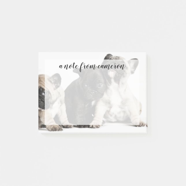 Tre Pug-valpar Post-it Block (Framsida)