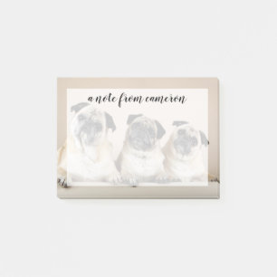 Tre Pugs i en rad Post-it Block