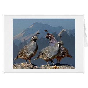 TRE QUAIL OCH SHASTA HÄLSNINGSKORT