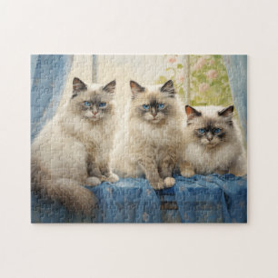 Tre Ragdoll-katter Pussel