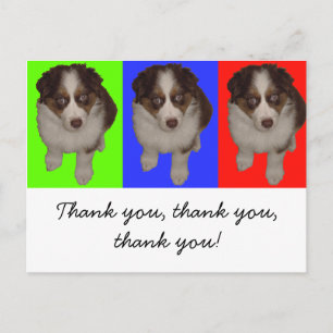Tre Red Tri Aussie Puppies Vykort