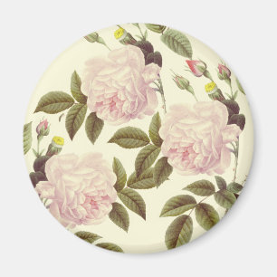 Tre Ro Cream Magnet