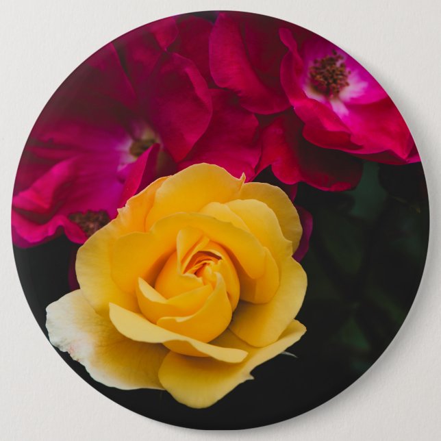 Tre ro knapp (Framsida)