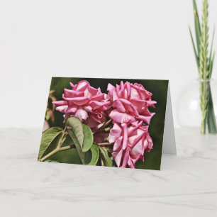Tre Ros Söt i Rosa Kort