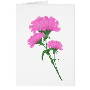 Tre Rosa Carnations Stationary, vilket ändamål som Hälsningskort