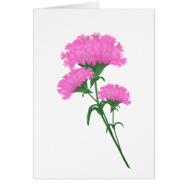 Tre Rosa Carnations Stationary, vilket ändamål som Hälsningskort (Framsidan)