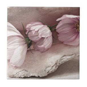 Tre Rosa Cosmos Kakelplatta