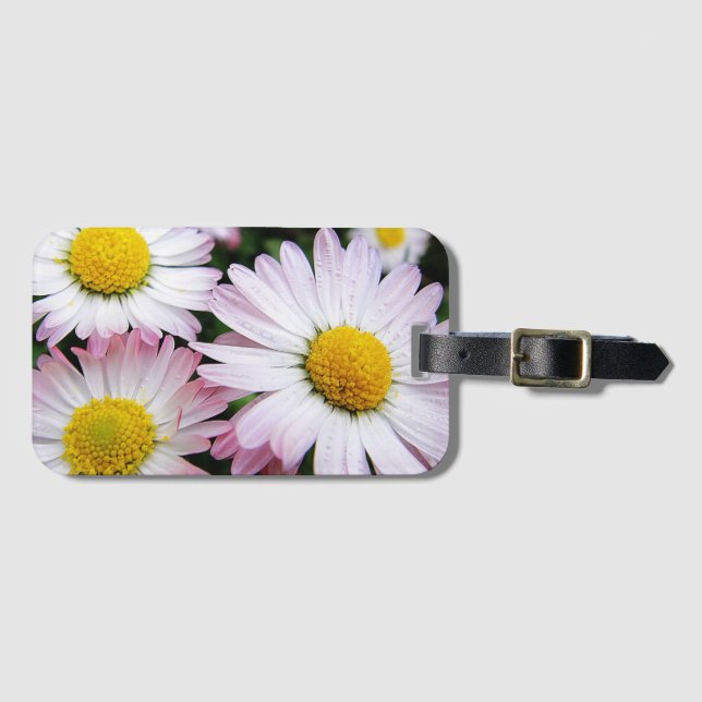 Tre rosa och vita daisy bagagebricka (Framsida horisontal)