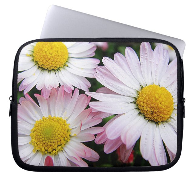 Tre rosa och vita daisy laptop fodral (Framsidan)