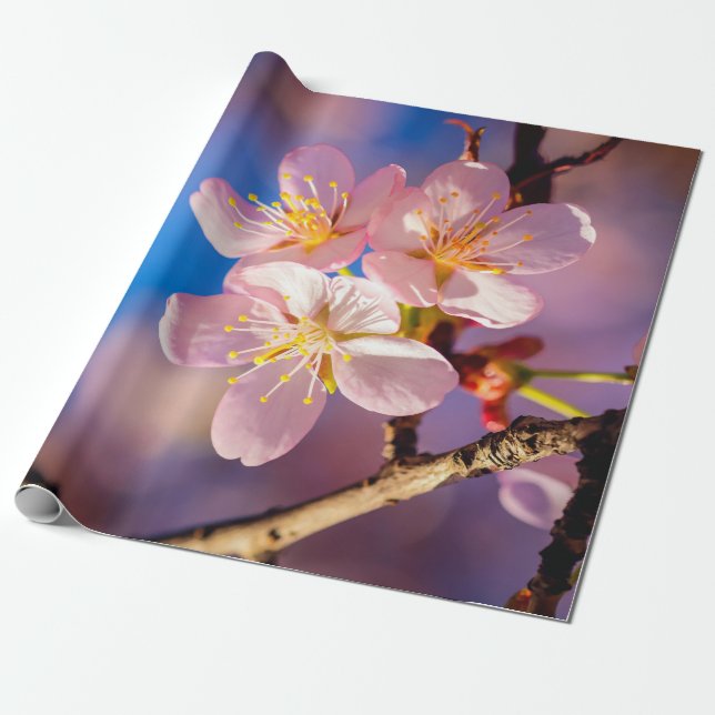Tre Rosa Sakura-Blommar Presentpapper (Utrullad)
