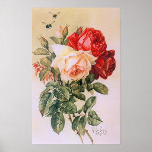 Tre Rosor Vintage affisch