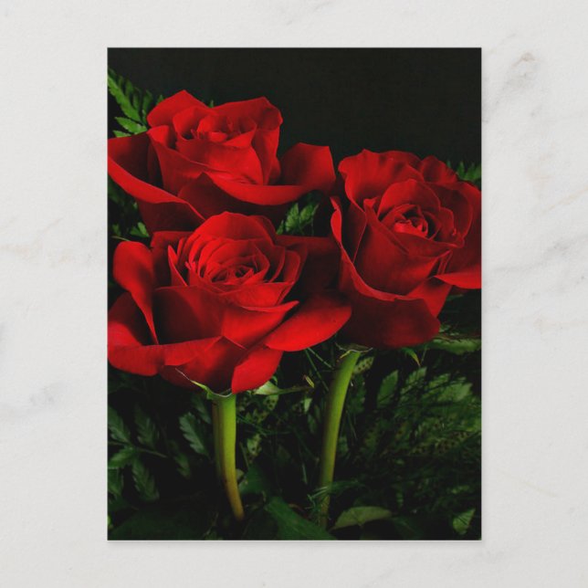 Tre Rosor Vykort (Framsida)