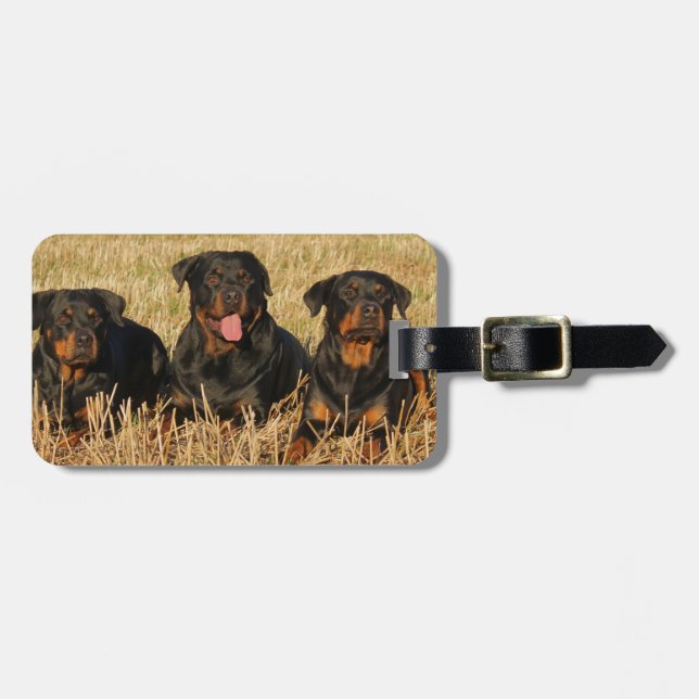 Tre Rottweiler Hundar - Rotationspaket Bagagebricka (Horisontell Framsida)