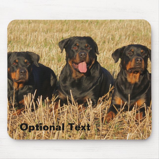Tre Rottweiler Hundar - Rotationspaket Musmatta (Framsidan)