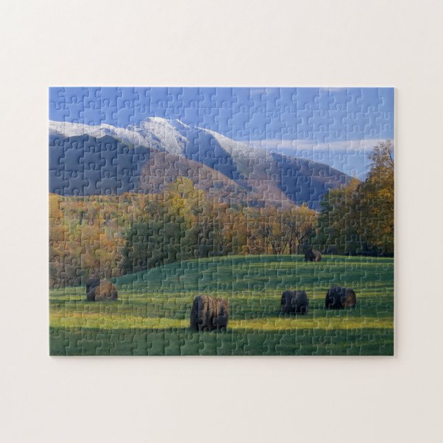 Tre säckar Fotopussel med Gift box (Horisontell)