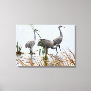 Tre Sandhill Cranes Canvastryck