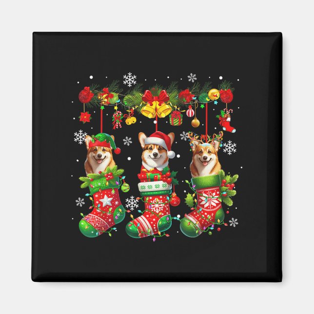 Tre Santa Elf Corgis Inside Julafton Socks Owner K Magnet (Framsidan)