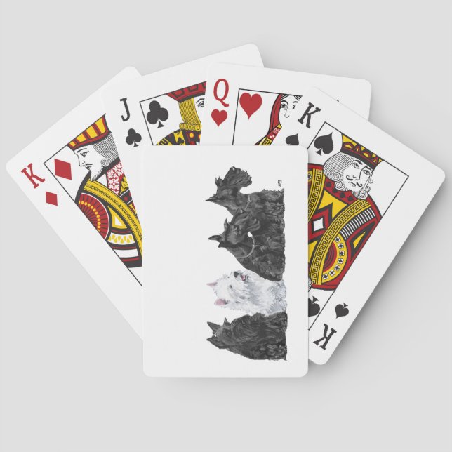 Tre Scotties & en Westie Casinokort (Baksidan)