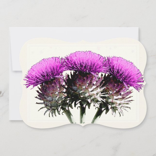 Tre Scottish Thistles Kort (Framsida)