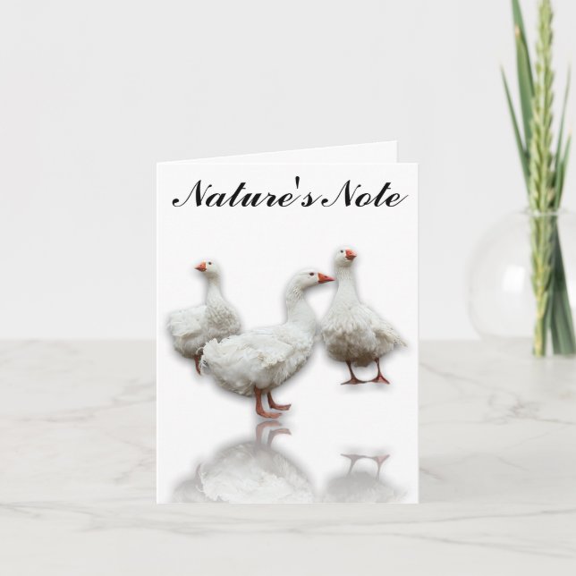 TRE SEBASTOPOL GEESE PÅ VITE BIRD NOTE-KORT ANTECKNINGSKORT (Framsida)