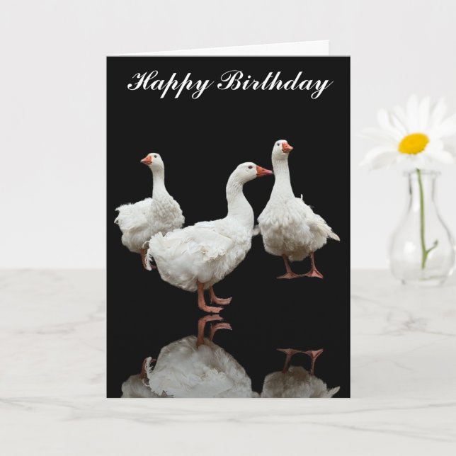 TRE SEBASTOPOL GEESE PHOTO BLACK GREETING CARD KORT (Liten växt)