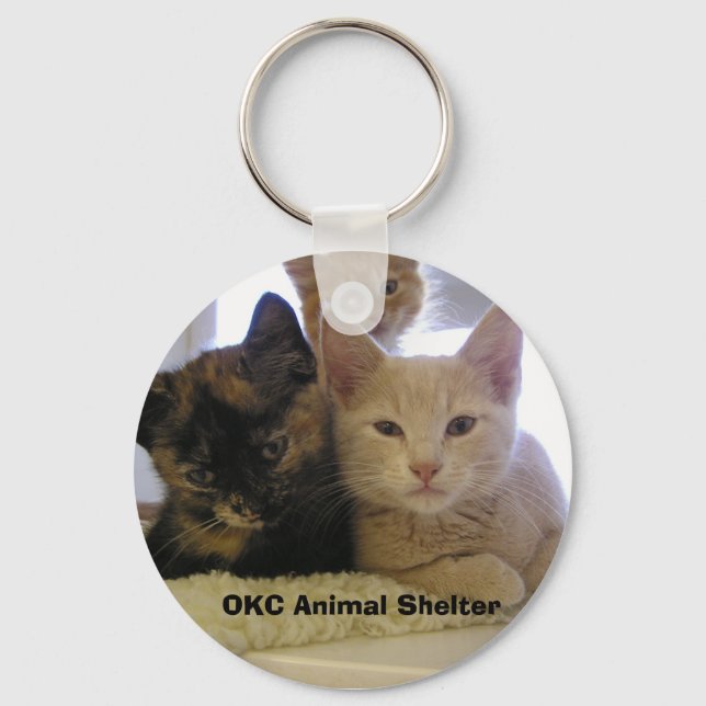 Tre Shelter Kittens Nyckelring (Framsida)