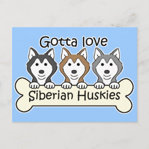 Tre Siberian husky Vykort