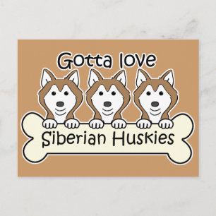 Tre sibiriska huskies vykort