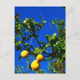 Tre sicilianska Lemons Vykort