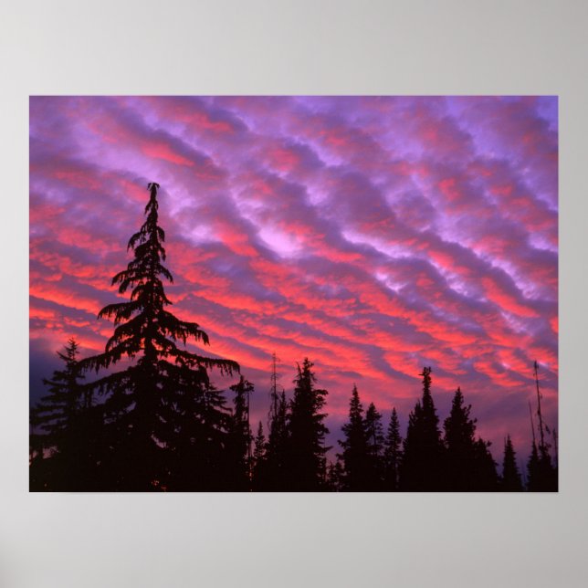 Tre Sisters Wilderness, Oregon Poster (Framsidan)