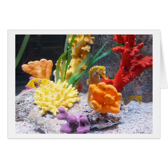 Tre sjöar hälsningskort (Framsidan Horizontal)