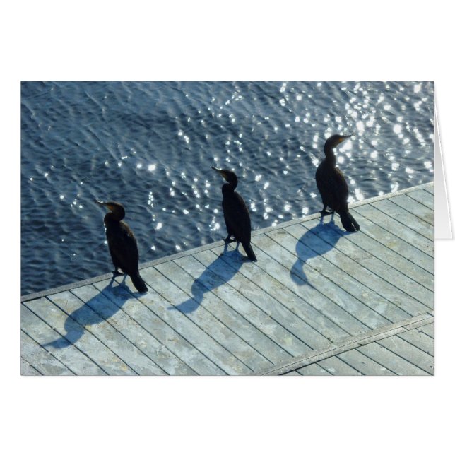 Tre skarvar hälsningskort (Framsidan Horizontal)