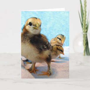 Tre små Chickar Kort