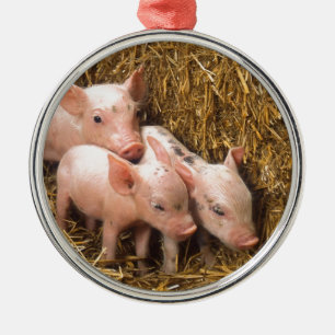 Tre små grisar julgransprydnad metall