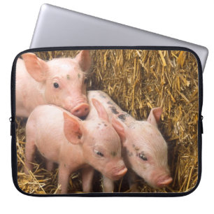 Tre små grisar laptop sleeve
