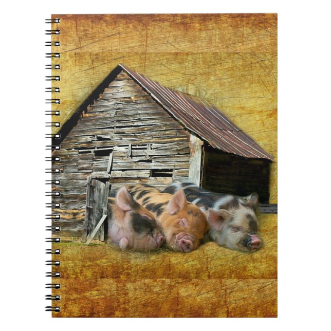 Tre små grisar vid Rustic Barn-sötning Anteckningsbok (Framsidan)