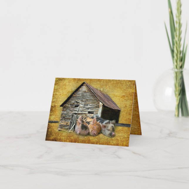 Tre små grisar vid Rustic Barn-sötning Tack Kort (Framsida)