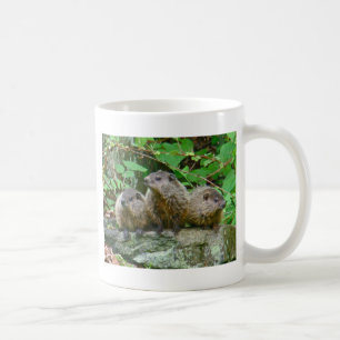Tre små murmeldjur kaffemugg