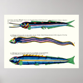 Tre Smalor fisk Poster på antikvit