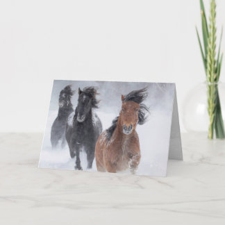 Tre Snö Horses Springa Fast Horse Greeting Card Kort