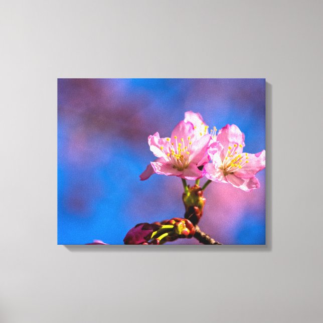 Tre solbelysta körsbärsblommor på en solig vårdag canvastryck (Framsida)