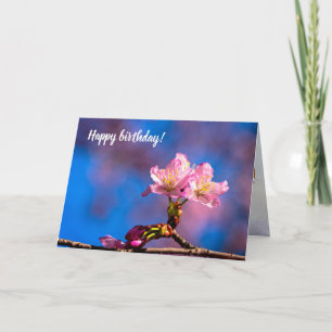 Tre solbelysta Sakura-blommor på en solnydag i Vår Kort