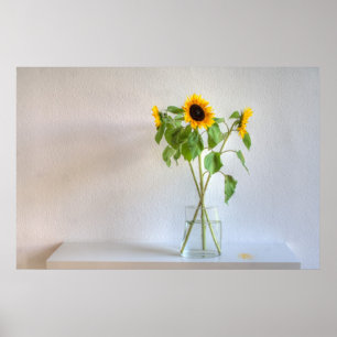 Tre solblommor poster