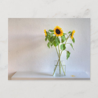 Tre solblommor vykort