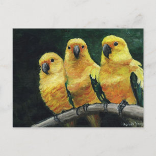 "Tre solconures" Fågelkonst vykort